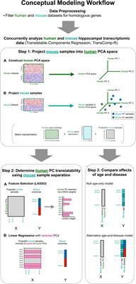 Computational Interspecies Translation Between Alzheimer’s Disease Mouse Models and Human Subjects Identifies Innate Immune Complement, TYROBP, and TAM Receptor Agonist Signatures, Distinct From Influences of Aging